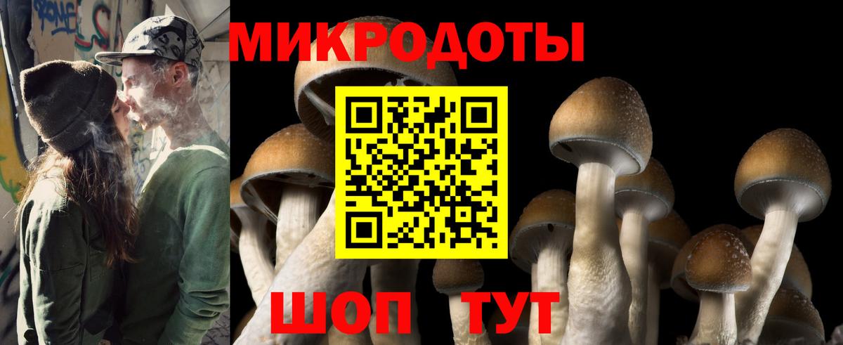 Псилоцибиновые грибы Magic Shrooms  Вход с VPN  Псилоцибиновые грибы Psilocybe  Урай 