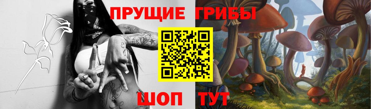 Псилоцибиновые грибы Cubensis Урай